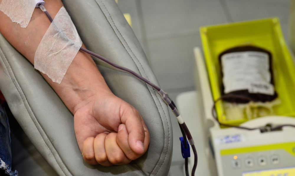 Doação de sangue poderá ser realizada no dia 14 de setembro em Carlos Barbosa