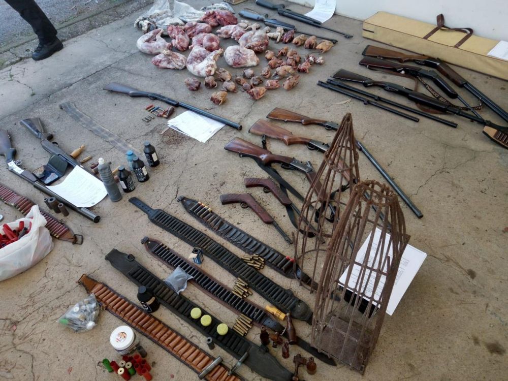 Polícia Civil apreende armas e animais abatidos em Coronel Pilar 