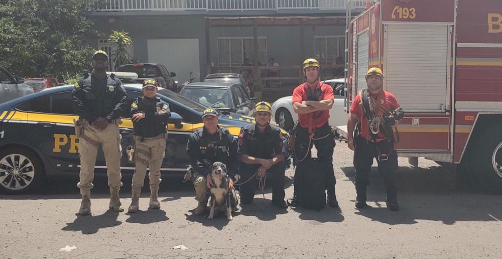 PRF e Bombeiros resgatam cachorra presa em barranco em Bento