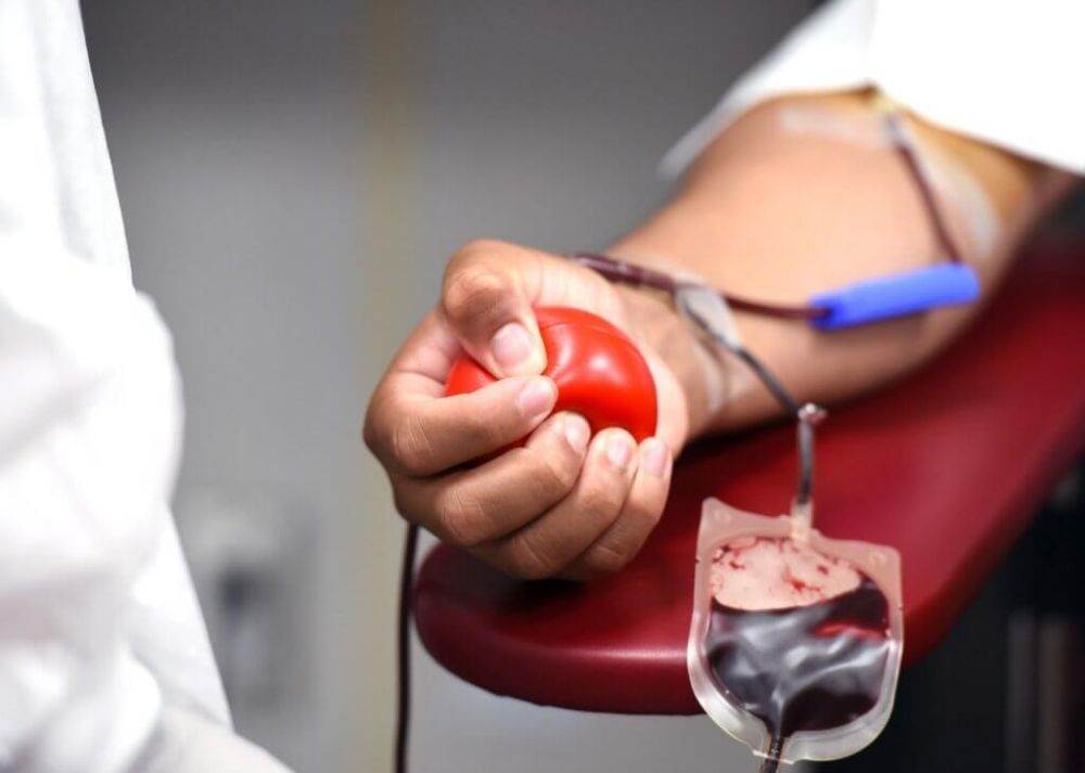 Dia D de Doação de Sangue tem edição de Natal em Bento Gonçalves