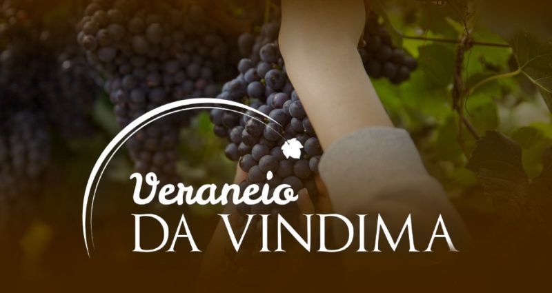 Veraneio da Vindima celebra o início da colheita da uva em Garibaldi