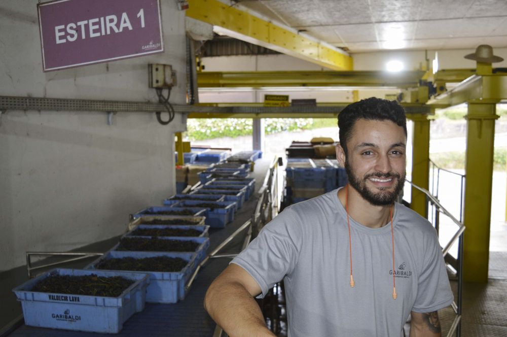 Safra da uva gera oportunidades na Cooperativa Vinícola Garibaldi