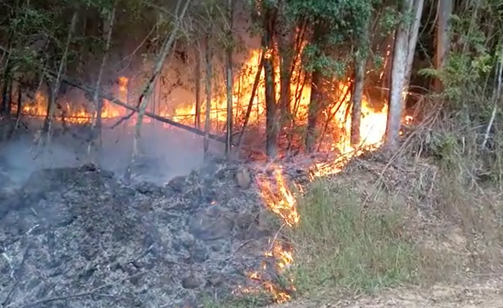 Bombeiros de Carlos Barbosa trabalham mais de cinco horas para conter fogo em vegetação
