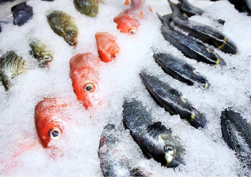 Secretaria de Agricultura orienta sobre escolhas dos pescados 