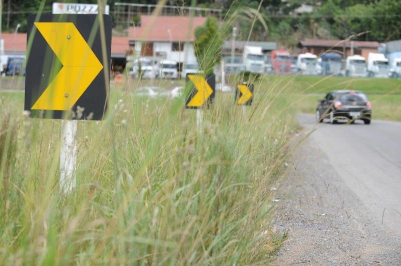 Matagal toma conta das rodovias estaduais da região