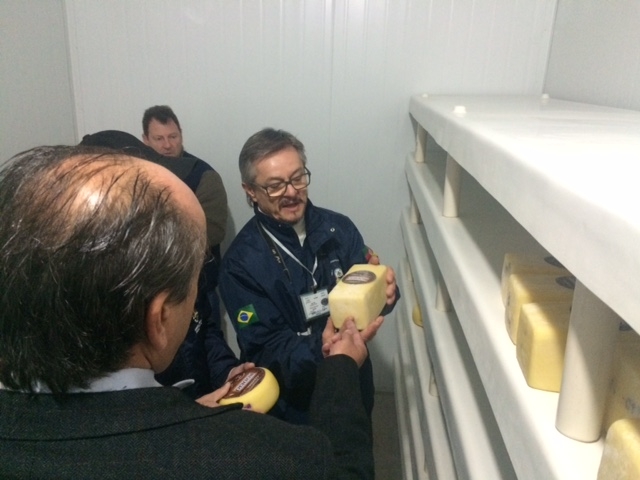 MP faz operação em Carlos Barbosa contra venda de queijos estragados