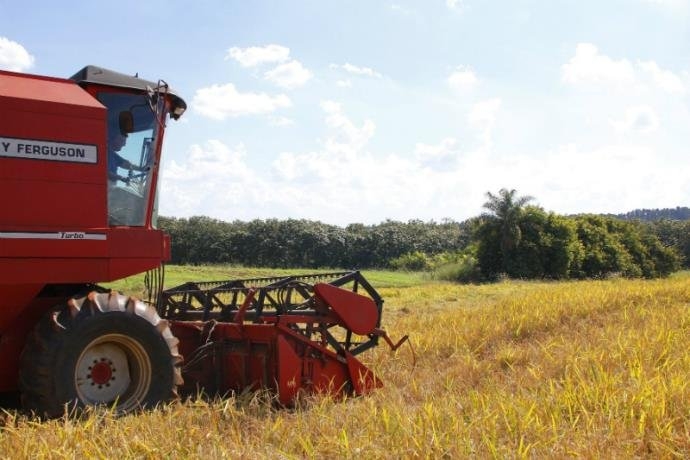 Produção agrícola registra queda de 12,3% em 2016, aponta IBGE