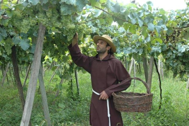 Freis Capuchinhos celebram a boa safra para o “vinho de missa”
