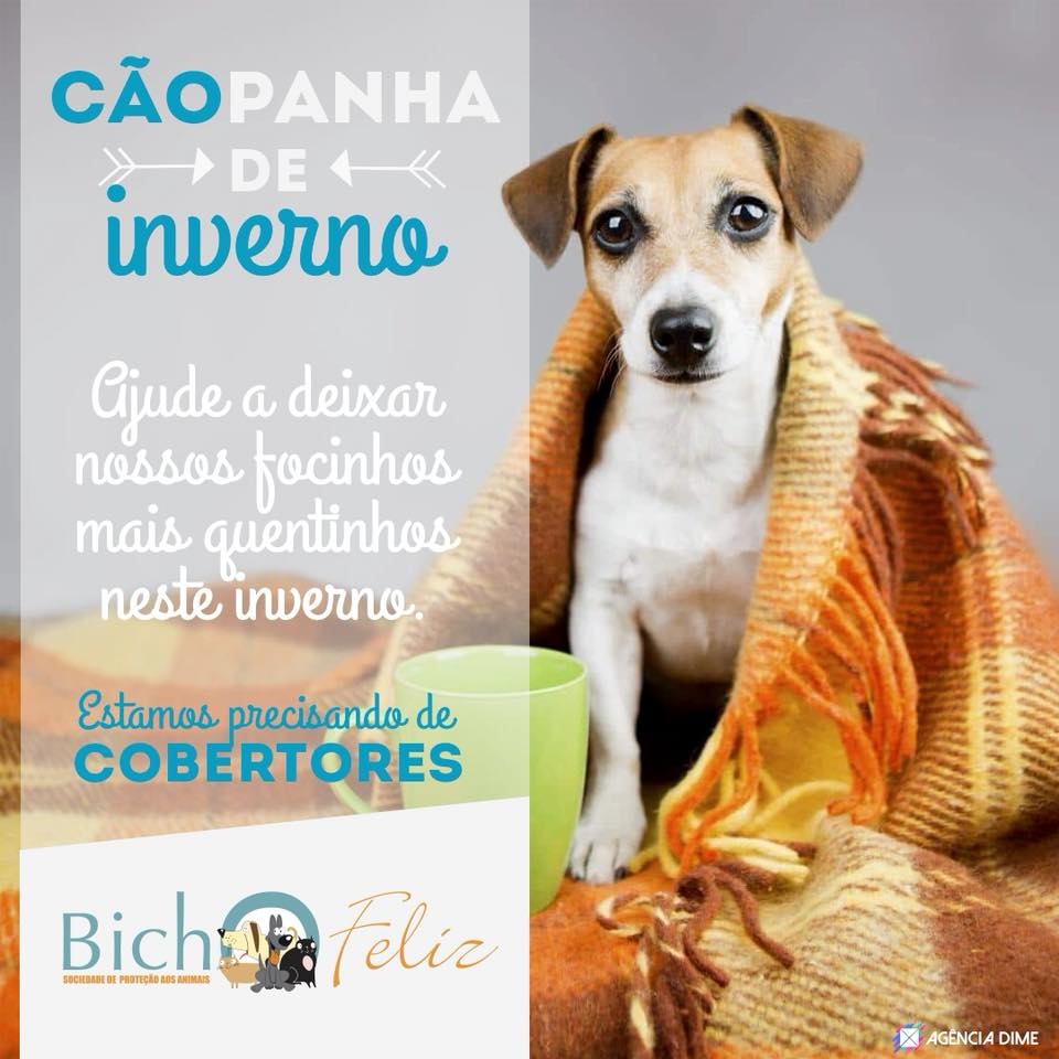 Bicho Feliz lança campanha para arrecadação de cobertores