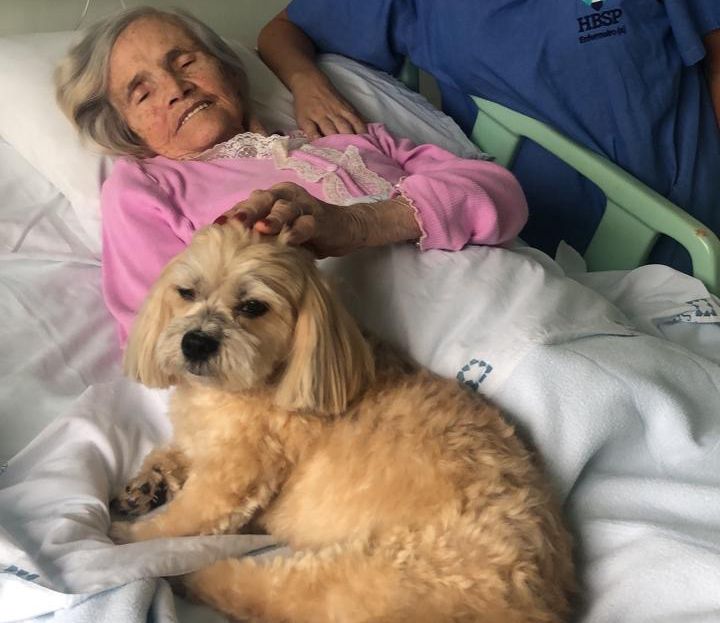 Hospital São Pedro recebe primeira visita Pet a paciente internado