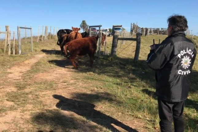 Bandidos roubam 27 cabeças de gado em propriedade rural de Garibaldi