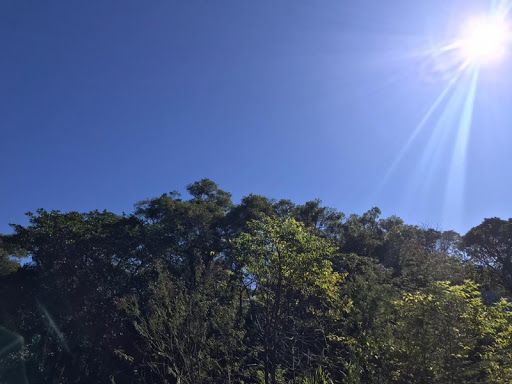 Sábado inicia com sol e frio na Serra Gaúcha