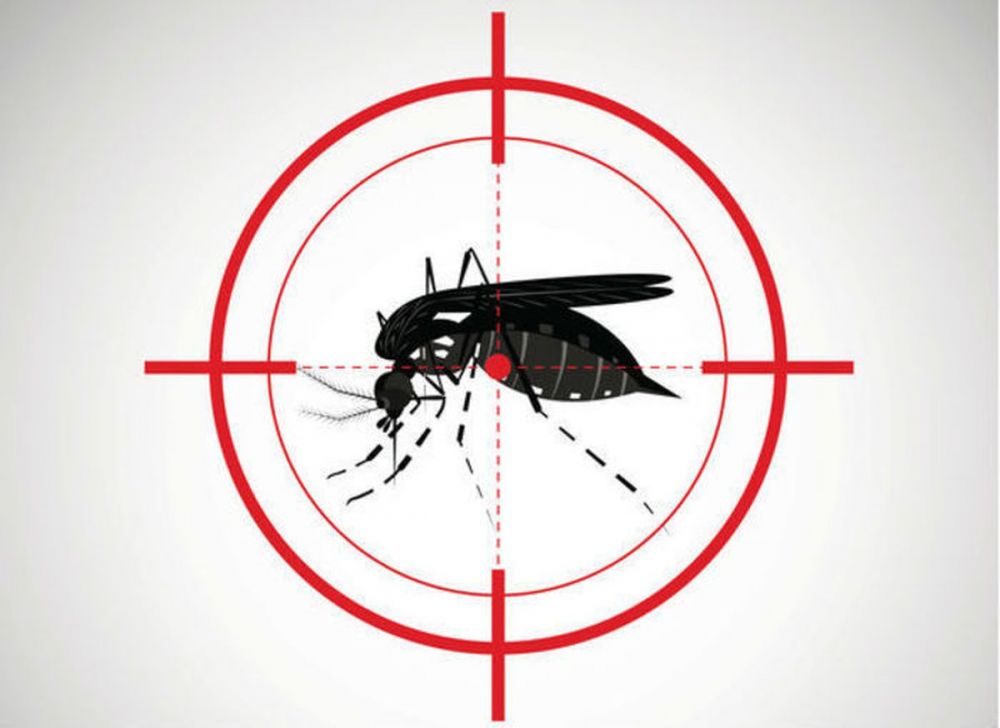 Vigilância Ambiental encontra 13 focos da Dengue em Garibaldi